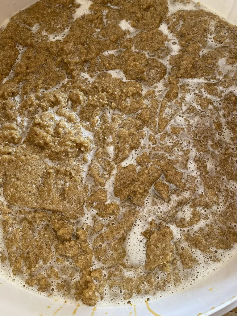 HONEY & OATS SUGAR SCRUB 2.webp