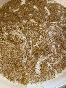 HONEY & OATS SUGAR SCRUB 2.webp